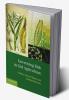 Governing Risk in GM Agriculture