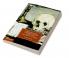 Popular Fiction and Brain Science in the Late Nineteenth Century