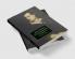 Lord Byron and Scandalous Celebrity
