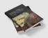 Literature Gender and Politics in Britain During the War for America 1770 1785