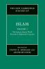 The New Cambridge History of Islam