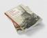 Visions of Empire in the Nazi-Occupied Netherlands