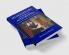 Shakespeare and the Idea of Apocrypha