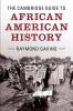 The Cambridge Guide to African American History