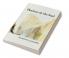 Plotinus on the Soul
