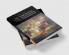 Foreign Investment and the Environment in International             Law