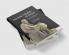 Ancient Models of Mind
