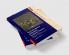 The Emergence of Modern Aesthetic Theory