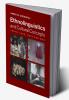 Ethnolinguistics and Cultural Concepts