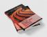 Hegel and Modern Society