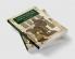 Character as Moral Fiction