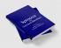 Spinoza and German Idealism