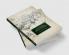 The Formation of the Victorian Literary Profession