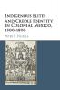 Indigenous Elites and Creole Identity in Colonial Mexico 1500-1800