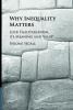 Why Inequality Matters