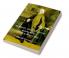 Samuel Richardson and the Art of             Letter-Writing