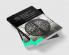 Domestic Politics and International Human Rights Tribunals