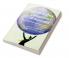 Human Rights Obligations of Business