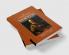 The Cambridge Companion to Newton