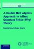 A Double Hall Algebra Approach to Affine Quantum Schur-Weyl Theory
