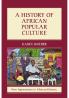 A History of African Popular Culture