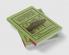 Cambridge Geographical Text Books