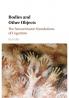 Bodies and Other Objects