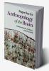 Anthropology of the Brain