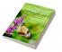 Ecological Governance