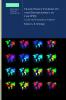 Trade Policy Flexibility and Enforcement in the Wto