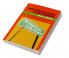 American Political Economy in Global Perspective