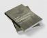 Hegel the End of History and the Future