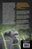 Mahale Chimpanzees