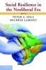 Social Resilience in the Neoliberal Era