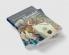 The Cambridge Handel Encyclopedia