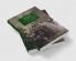 George Eliot and Money