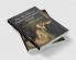 The Afterlives of Eighteenth-Century Fiction