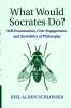 What Would Socrates Do?