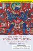 THE ORIGINS OF YOGA AND TANTRA (SOUTH ASIA EDITION)