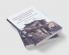 Housing Land and Property Rights in Post-Conflict United Nations and Other Peace Operations
