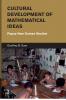 Cultural Development of Mathematical Ideas