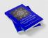 Causation and Creation in Late Antiquity
