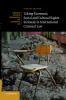 Taking Economic Social and Cultural Rights Seriously in International Criminal Law