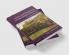 Ethics and Enjoyment in Late Medieval Poetry