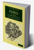 Fungi