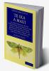 Te Ika a Maui