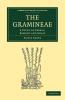 The Gramineae