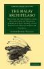 The Malay Archipelago - Volume 2