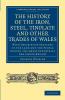 The History of the Iron Steel Tinplate and Other Trades of Wales