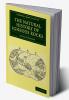 The Natural History of Igneous Rocks